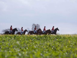 2018 Hubertusjagt Storstrøms Jagtrideklub